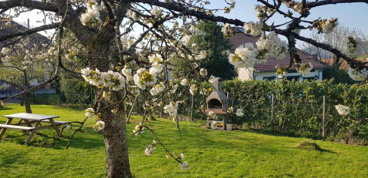 Maison De Vacances Freconrupt La Broque Екстер'єр фото